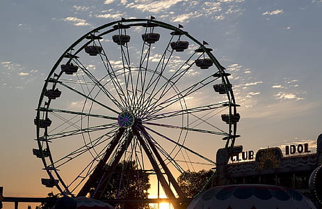 ferris wheel near tree thumbnail