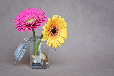 yellow and pink petaled flowers in clear glass jar thumbnail