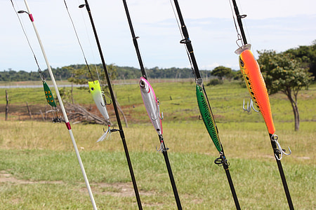 assorted-color fishing rods thumbnail