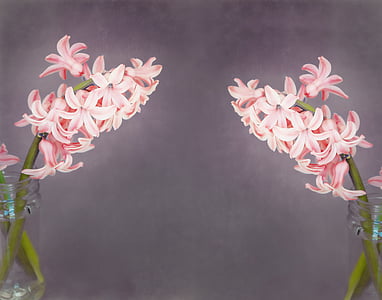 pink flowers in glass bottle thumbnail