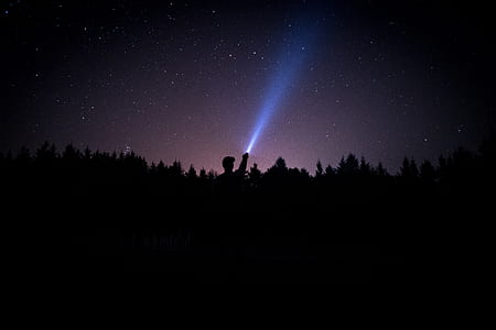 silhouette of man and tall trees under starry night sky thumbnail