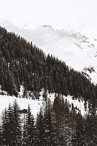 aerial photography of snow-covered mountain during daytime thumbnail