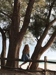 Woman Sitting on Wooden Fence Beside Tree thumbnail
