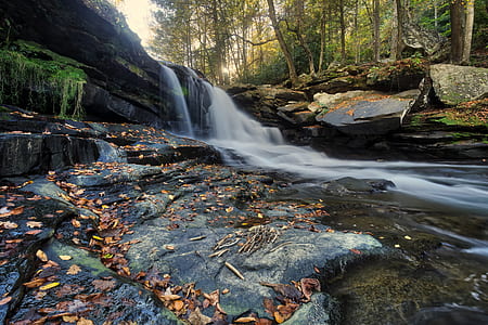 waterfalls near green leafed trees thumbnail