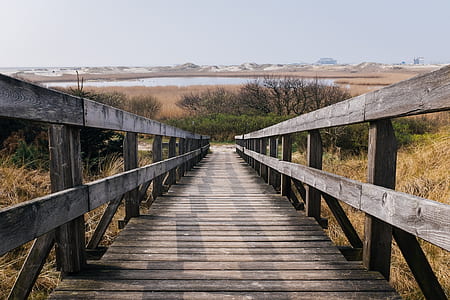 empty wooden bridge beside green leaf trees thumbnail