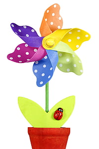 purple, blue, yellow, and orange flower decor thumbnail