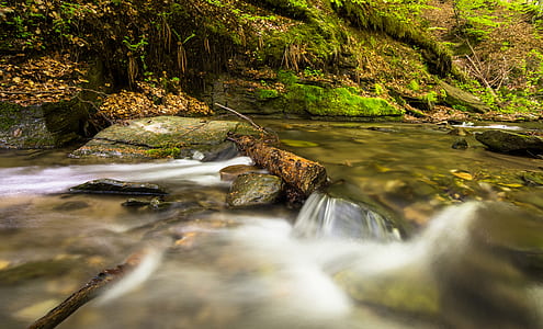 wood, landscape, nature, water thumbnail