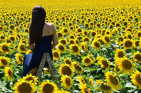 woman wearing black strapless top standing on sunflower field during daytime thumbnail