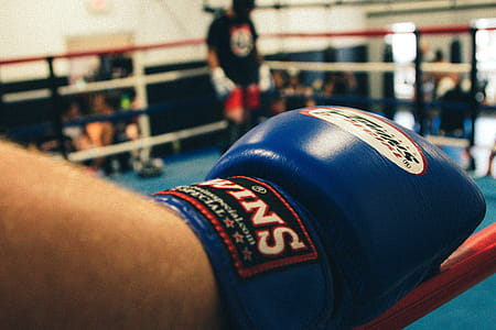 Boxing Glove thumbnail