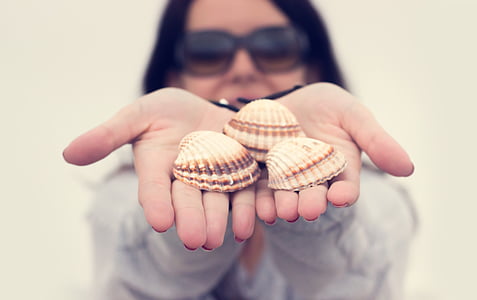 selective focus photo of woman holding three seashells thumbnail