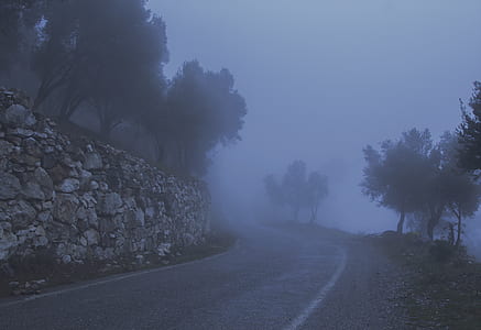Road Between Trees and a Cliff Covered With Fog thumbnail