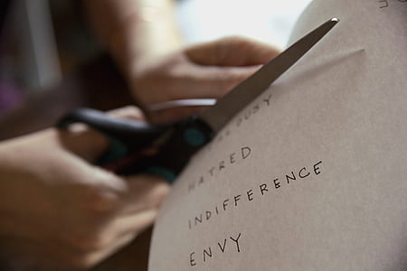 selective focus photography of person cutting a piece of paper thumbnail