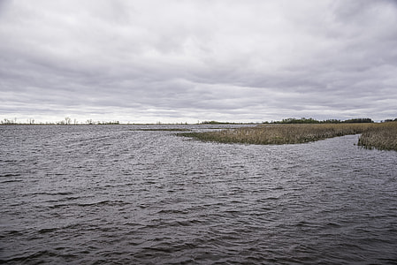 Zippel bay and Lake of the Wooods landscape thumbnail