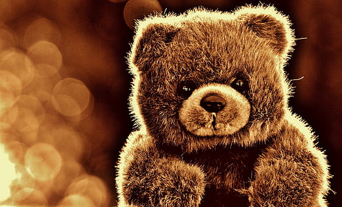 brown bear graphic with bokeh lights thumbnail