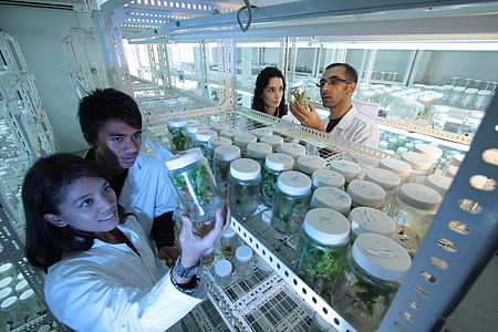 four people wearing white laboratory dresses inside the lab holding jars thumbnail