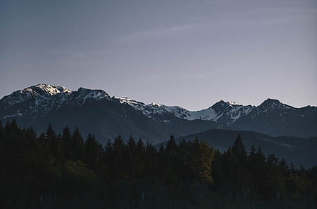 green leafed trees across mountain thumbnail