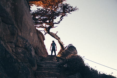 man standing beside tree during daytime thumbnail