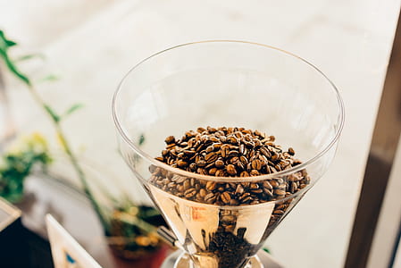 brown coffee beans on glass cup thumbnail