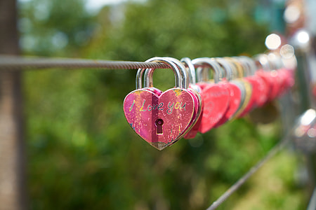 selective focus photography of heart-shaped red padlock thumbnail
