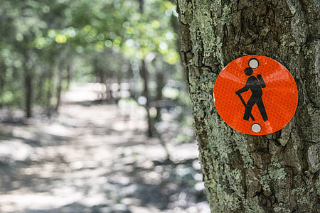 shallow focus photography of walking signage sticker thumbnail