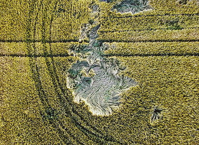 aerial photo of green grass field at daytime thumbnail