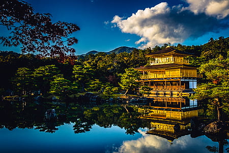 brown temple near calm body of water and forest thumbnail