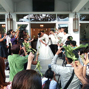 Photo of Kissing Married Couple Surrounded by Wedding Party. thumbnail