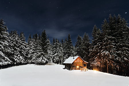 white wooden shed house thumbnail