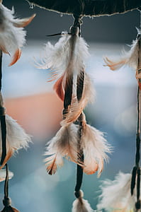 shallow focus photography of brown feather dreamcatcher thumbnail