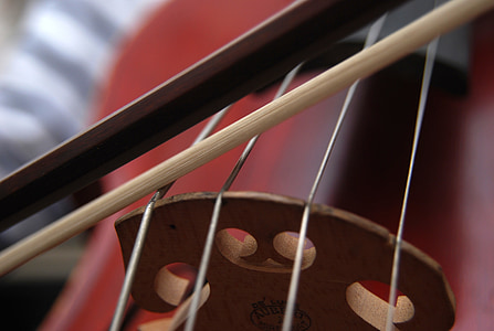 cello, strings, classical music, bow thumbnail