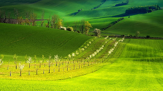 green field wallpaper thumbnail