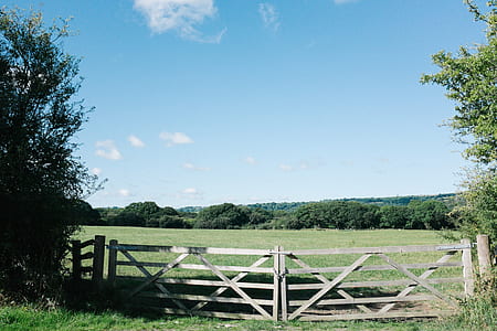 brown wooden gate between green trees at daytime thumbnail