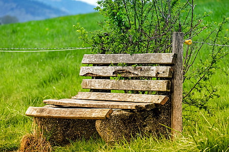 brown wooden bench with background of mountain thumbnail