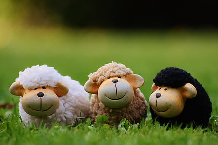 white, brown, and black sheep plush toy on green grass thumbnail