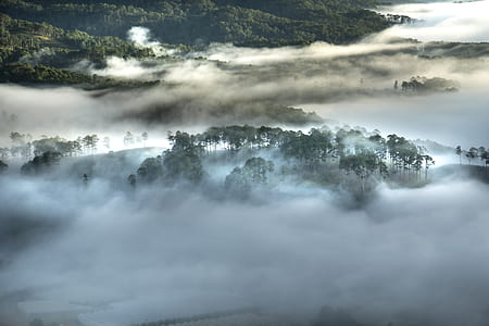 landscape photo of mountains with trees thumbnail