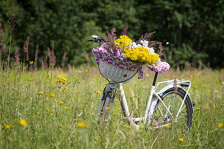 white step through bike with basket full of flowers thumbnail