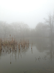 sticks in river covered with fog thumbnail