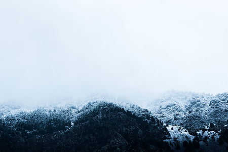 mountain with trees covered in snow at daytime thumbnail