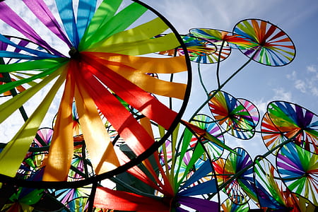black and multicolored pinwheels thumbnail