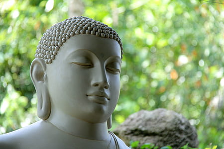 Buddha statue near leaves thumbnail