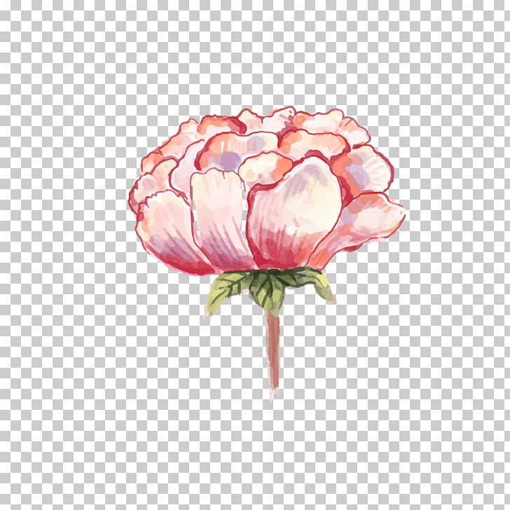 Watercolor: Flowers Watercolor painting Peony, Watercolor peony, red rose PNG clipart
