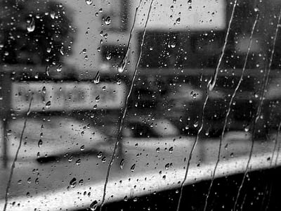 selective focus photography of water droplets on glass thumbnail