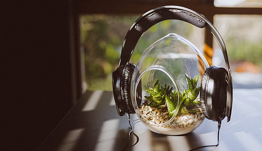 clear glass terrarium with headphones thumbnail