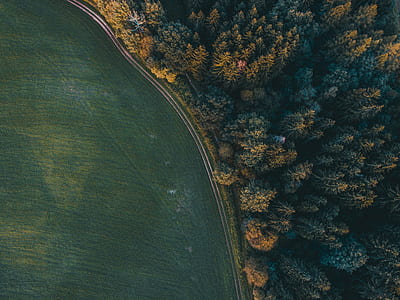 aerial view of trees and body of water thumbnail