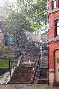 brown concrete stairs under tall green tree near red bricked building at rainy day thumbnail