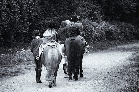 grayscale photography of children riding on horse thumbnail