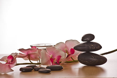pink orchids beside massage stones thumbnail