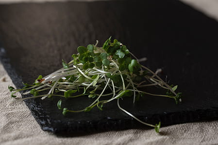 Cress thumbnail