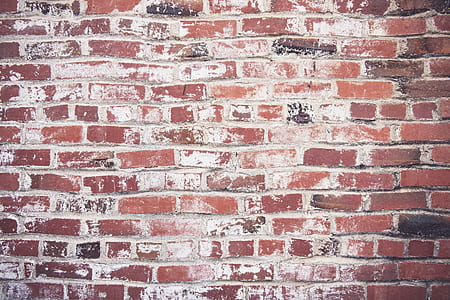 closeup photo of concrete brick wall thumbnail
