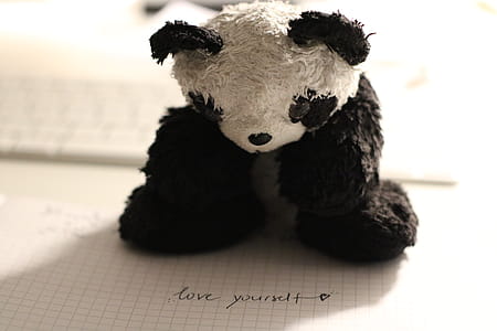 Panda Bear Plush Toy thumbnail